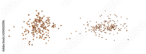 Grape seeds ready for oil extraction