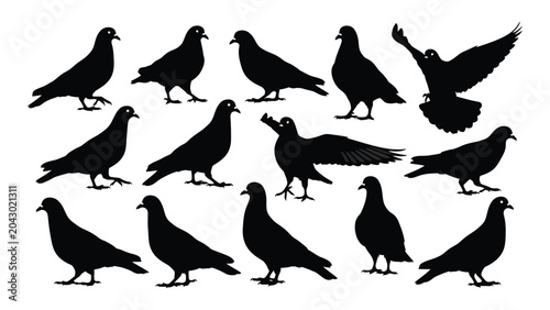 Foto A Collection Of Black Pigeon Silhouettes In Various Poses And Plumage Arrangemen