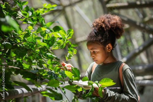 Young Citizen Scientist Examining Insect-Damaged Leaves in Tropical Biodiversity Habitat