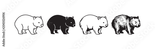 Photos Four styles of a cute wombat icon, from simple outline to detailed sketch, repre