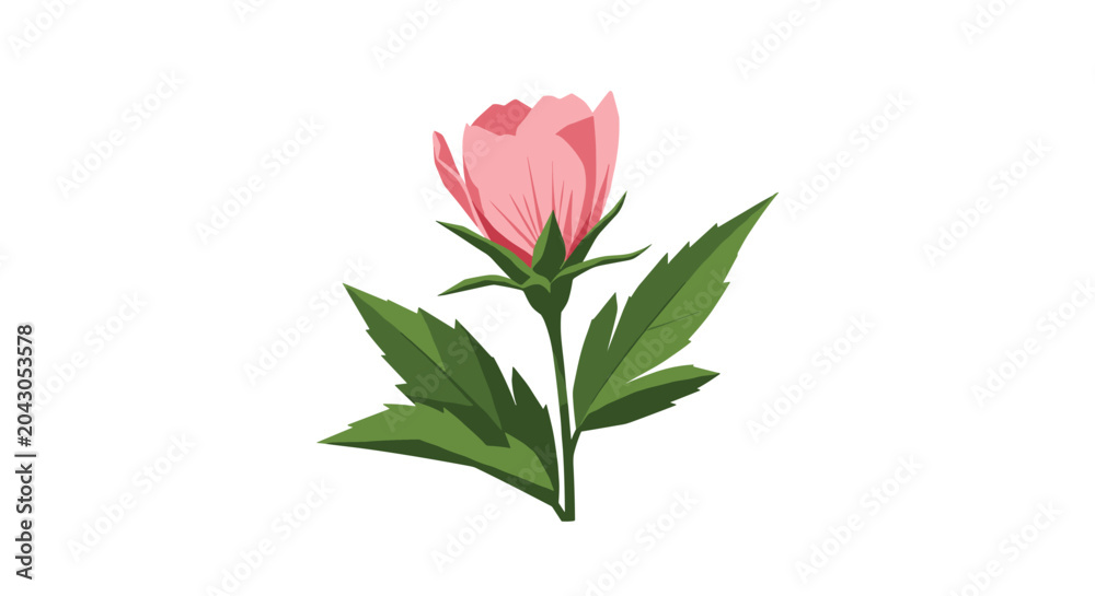 Fototapeta premium Delicate pink flower bud on a stem with sharp green leaves shown in a detailed botanical illustration style.