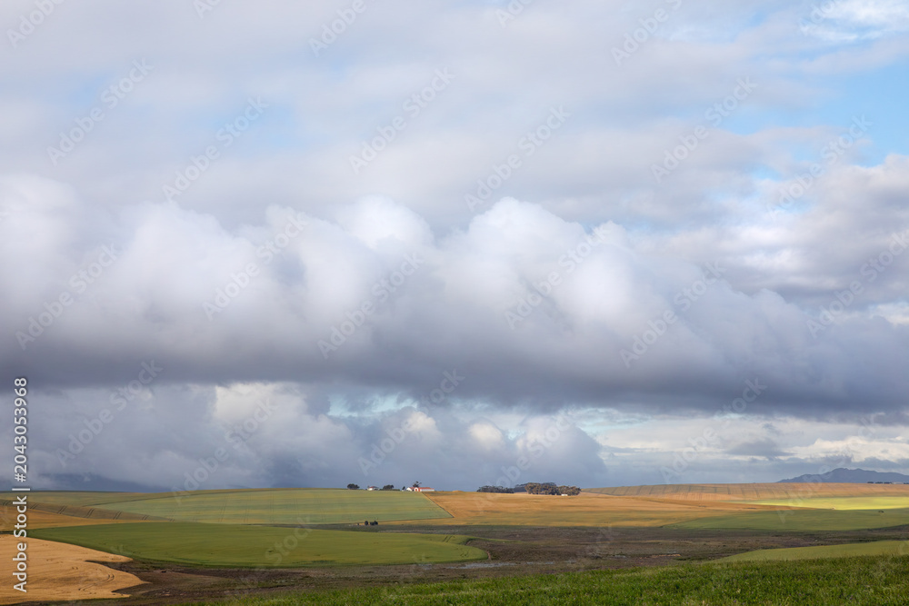 Fototapeta premium storm clouds over the field