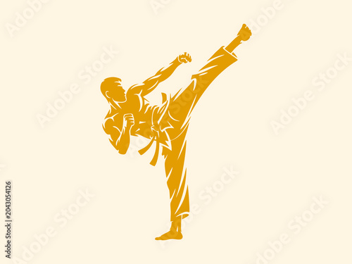 Stylized silhouette of a martial artist performing a powerful side kick. Ideal for themes of combat sports, discipline, and martial arts training.