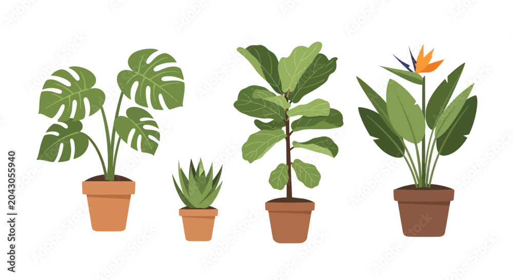 Obraz premium Collection of potted house plants variety.