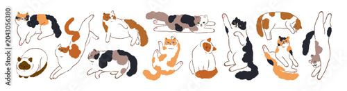Cute cats in funny poses, doodle drawings set. Comic kitty, feline animal lyi...