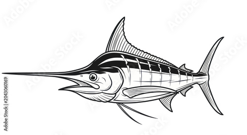 Photography Sailfish swimming in ocean waters.