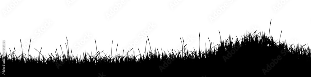 Obraz premium Meadow silhouette with grass, plants on plain. Panoramic summer lawn landscape with herbs, various weeds. Herbal border, frame element. Black horizontal banners. Vector illustration