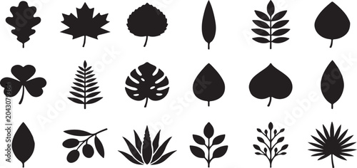 Foto Collection of Silhouettes of Various Leaf Types and Plant Forms for Design and D