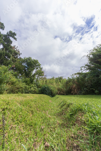 Green grass trench leading to dense tropical vegetation under a dramatic cloudy sky, conceptual image for exploration, future path, or environment.