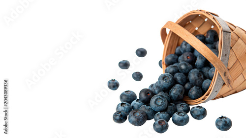 Fotografija Wicker basket turned over with fresh blue blueberries splashing out isolated on