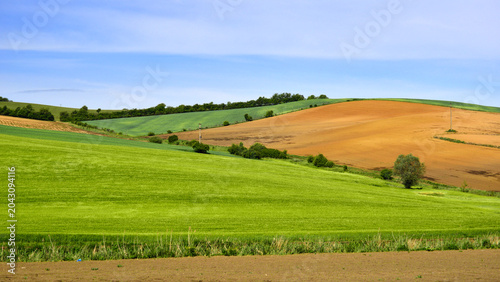 Obraz na plátně Spring in the rolling hills of Mures County, in Transylvania.