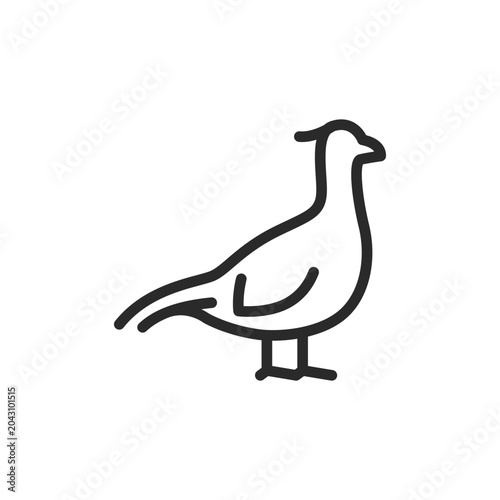 Fotografi Pheasant, linear style icon