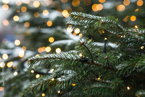 Photography Holiday garlands and lights on a Christmas tree