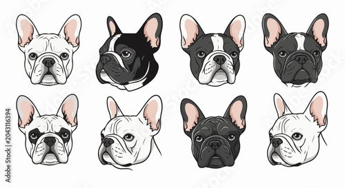 Eight illustrative portraits of French Bulldogs in various poses and colors