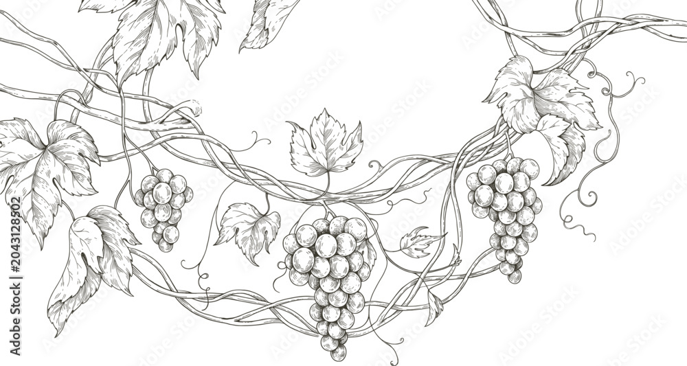 Fototapeta premium Vintage grapevine sketch border with hanging grapes, hand drawn vineyard illustration, black and white botanical line art for wine labels