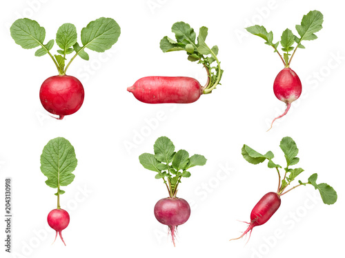 Foto Collection of fresh, vibrant red radishes with lush green leafy tops, perfectly isolated on a transparent background
