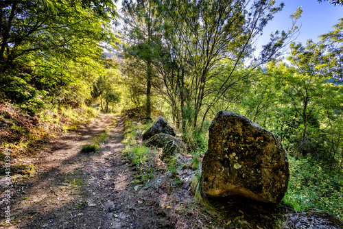 Canvastavla Camino de La Chorrera del Hornillo
