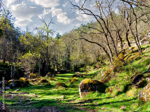 Valle de Iruelas en primavera