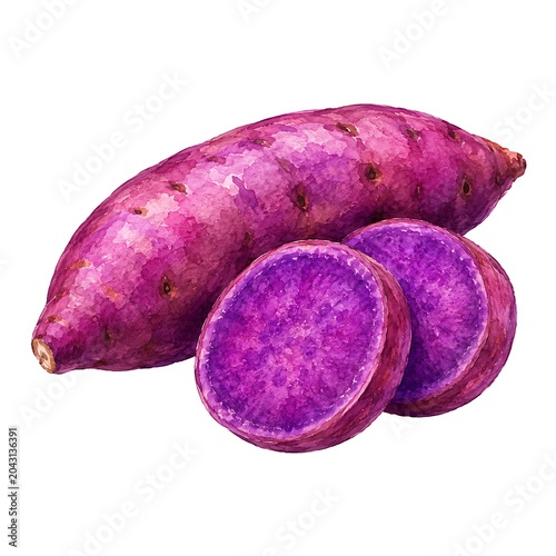 Watercolor Cantaloupe Melon Slice Illustration