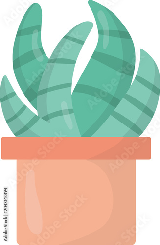 Potted Succulent Plant Illustration
