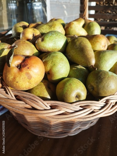 Rustic autumn harvest of fresh green and yellow pears