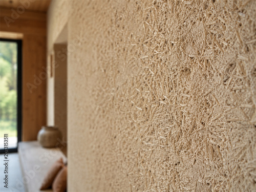 Close view of a textured natural plaster wall with embedded fibers in a calm interior showing sustainable building finish tactile surface and eco conscious architecture in modern homes