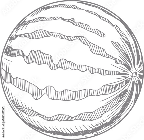 Bilde på lerret A detailed hand-drawn of a whole watermelon with characteristic striped patterns
