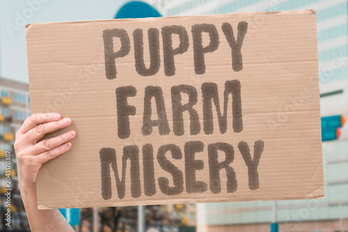 Foto "Puppy farm misery" Commercial breeding operation causes suffering