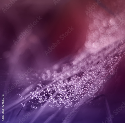 The Galaxy of Dew drops