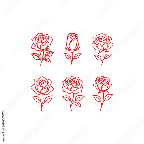 Realistic Red Rose Vector Illustration