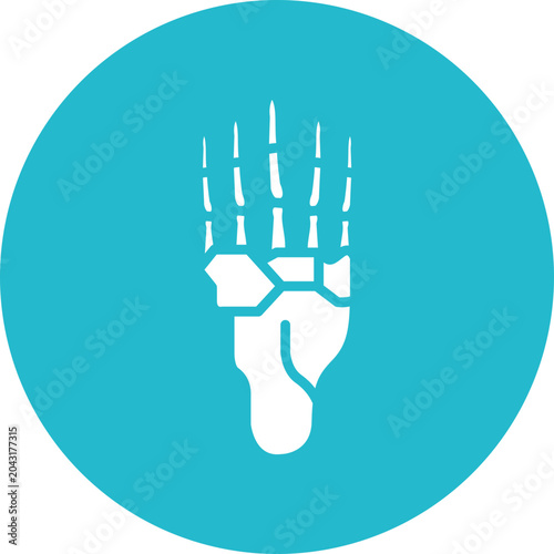 Canvastavla Metatarsals Vector Icon