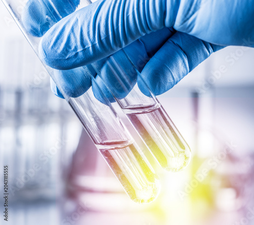 Laboratory beakers in analyst's hand in plastic glove.
