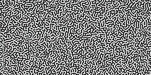 Bild auf Leinwand Turing reaction diffusion monochrome seamless pattern with chaotic motion