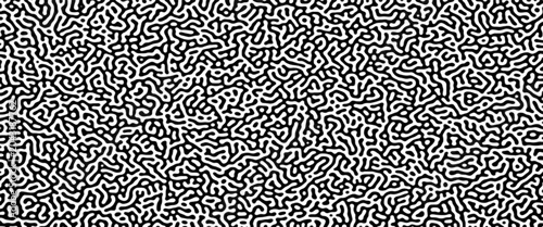 Cuadro en lienzo Turing reaction diffusion monochrome seamless pattern with chaotic motion