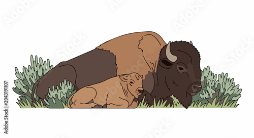 A mother and calf bison rest peacefully nestled in green shrubbery