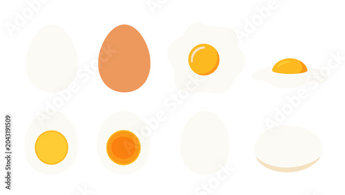 Photos Set of egg variations and fried egg vector illustrations