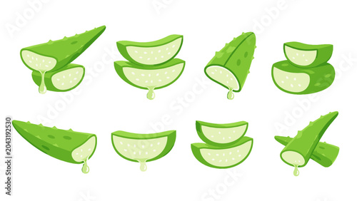 Set of aloe vera leaf slices and cut pieces in green vector style