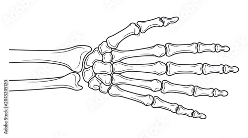 Konstfotografi Anatomical Hand Skeleton Illustration
