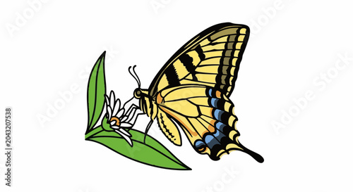 Yellow butterfly with black stripes sips nectar from a small white flower