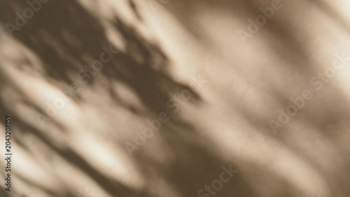 Shadows of tree branches and leaves fall on a textured beige wall with a crack, abstract nature background, minimalist design, calm atmosphere.