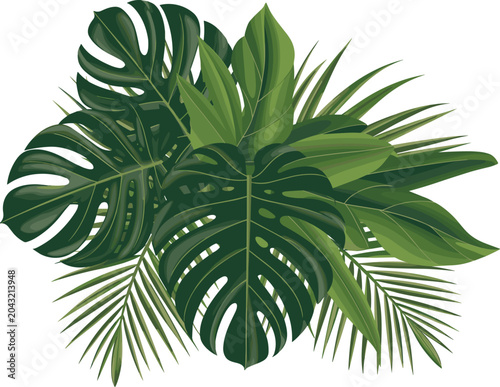 Foto Tropical palm leaves bouquet with green monstera and banana leaf bunch, exotic j