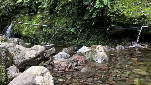 river in the forest
