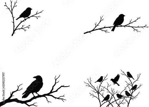 Black Bird Silhouette Collection on Tree Branches Vector Set Isolated Nature Wildlife Design Elements