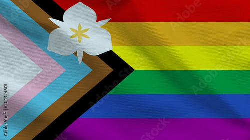 Quadro su tela Salt Lake City Progress Pride Flag Fabric Texture