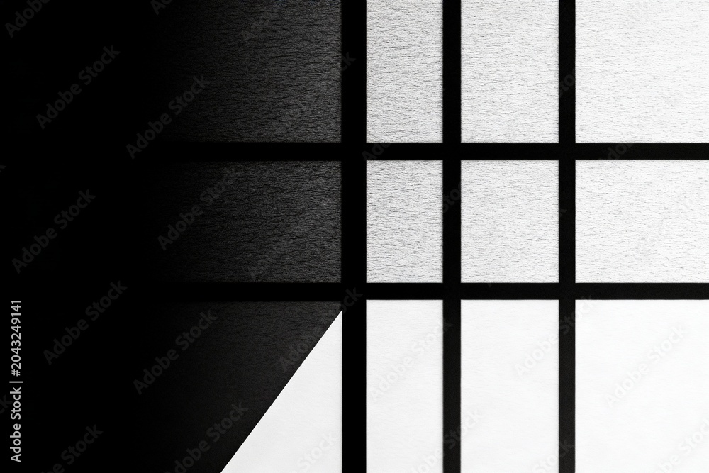 Fototapeta premium Monochrome Grid Pattern with Bold Contrast