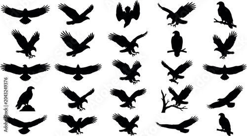 Tableau sur toile Silhouettes of Birds in Flight Against White Background with Dynamic Composition