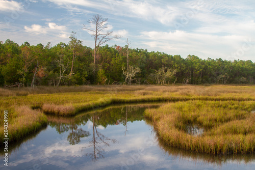 Tableau sur toile A serene tidal creek winds through golden marsh grasses in Croatan National Forest, reflecting the sky and coastal vegetation along North Carolina’s estuarine shoreline