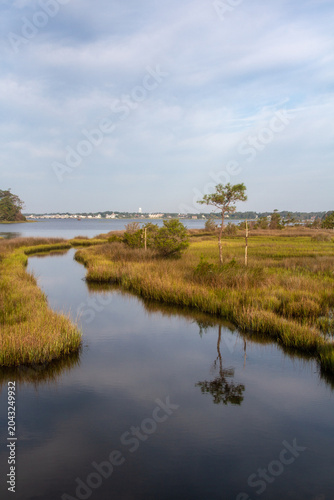 Obraz na plátne A serene tidal creek winds through golden marsh grasses in Croatan National Forest, reflecting the sky and coastal vegetation along North Carolina’s estuarine shoreline