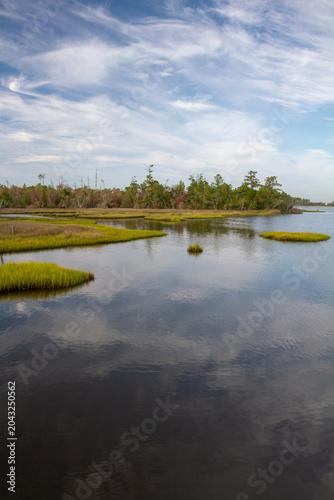 Fotografija Calm estuarine waters wind through vibrant marsh grasses in Croatan National Forest, reflecting sweeping clouds and coastal woodland along North Carolina's coast