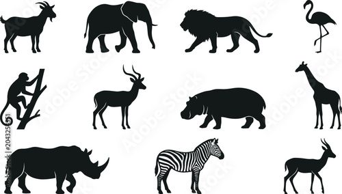 Photography Black silhouette collection of wild safari animals african zoo wildlife icons is